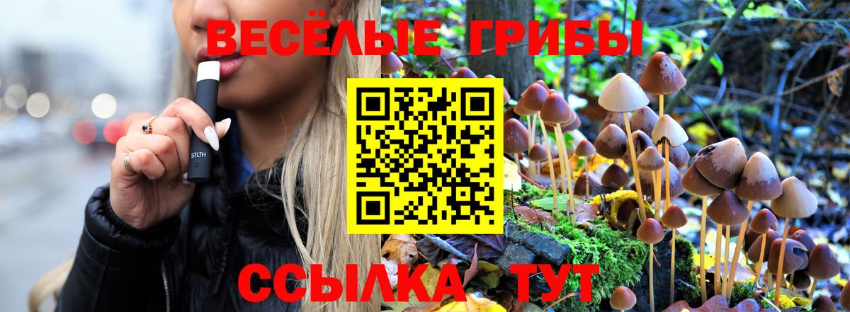 Псилоцибиновые грибы Cubensis Уфа